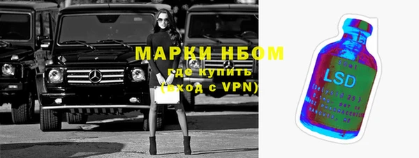 шишки Алзамай