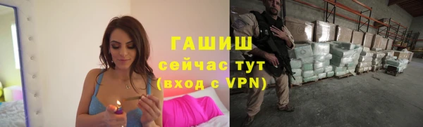 шишки Алзамай