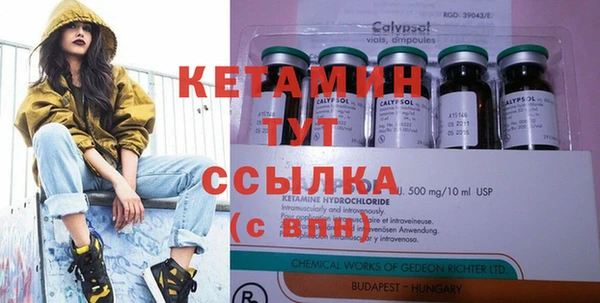 крисы Абаза