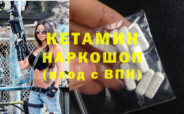крисы Абаза